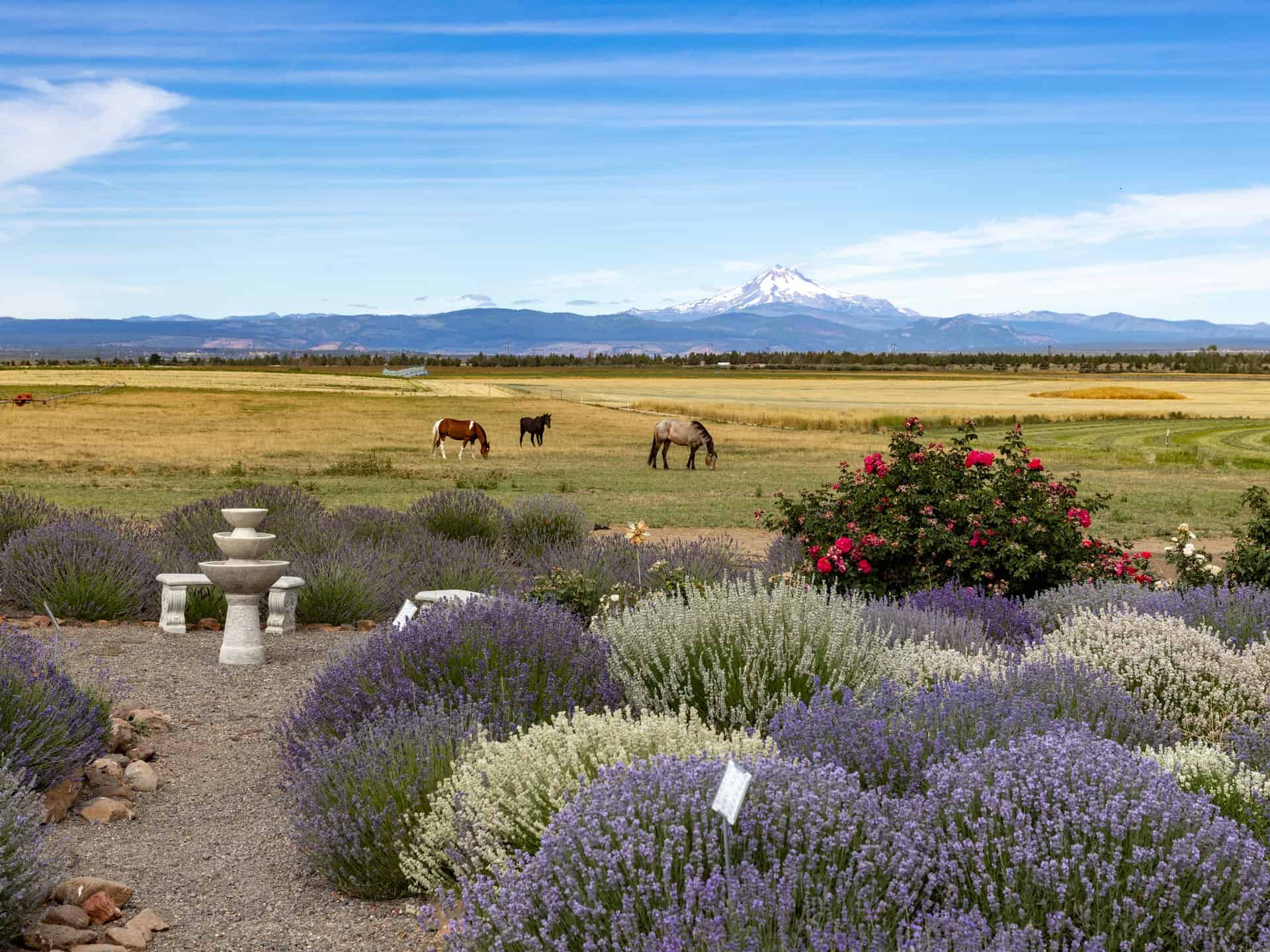 Experience the stunning scenery and adventurous spirit of Madras, Oregon.