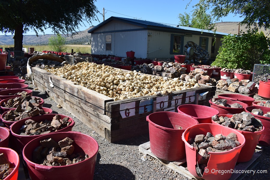 A Gem Hunter’s Paradise: Discovering Richardson’s Rock Ranch