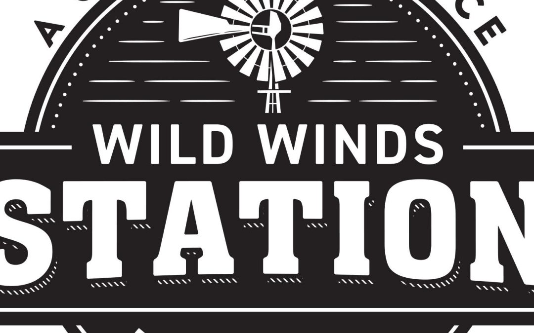 Wild Winds Station: A Gathering Place for Food and Friends in Madras