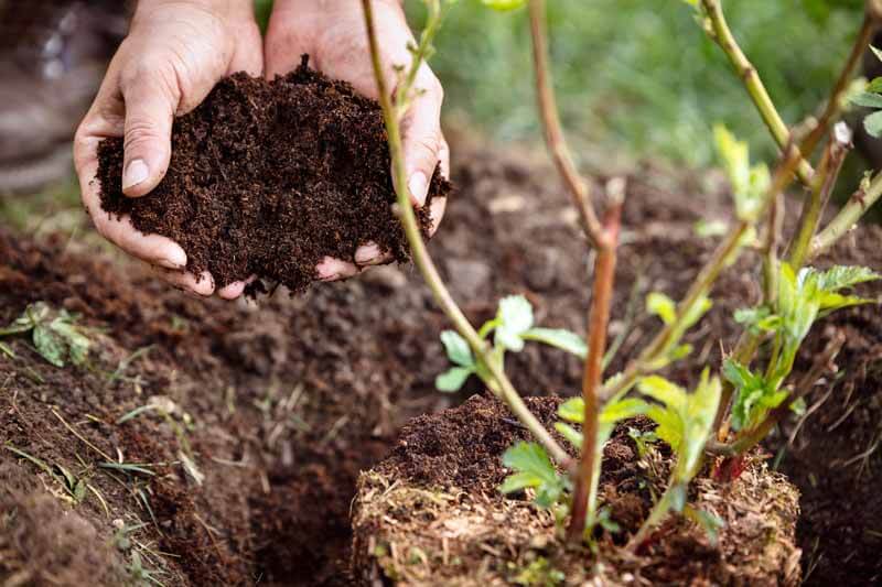 Spring Gardening in Madras, OR: A Season of Growth and Renewal